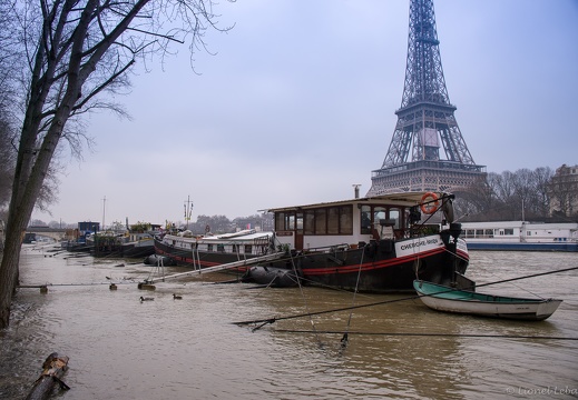 La Seine en crue (Paris 11/01/2018)