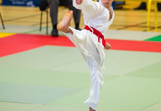 Karate (2018-01)