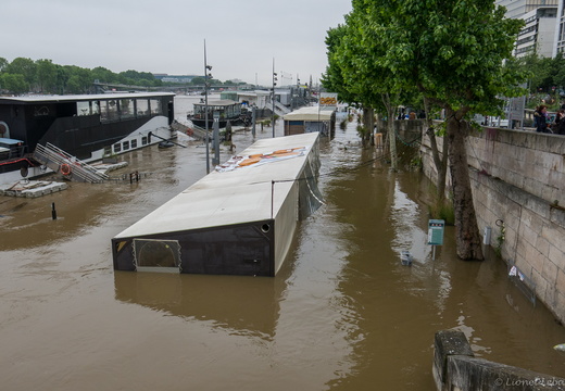 La Seine en crue (Paris juin 2016)