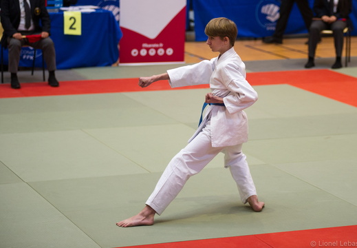 Karate Kata (2022-02)